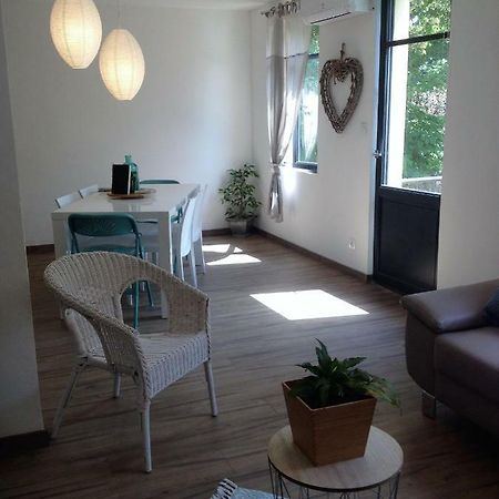 Au Vieux Lavoir Avec Parking Prive, Jardin , Climatisation, A 500 M De La Cite Carcassonne Eksteriør bilde