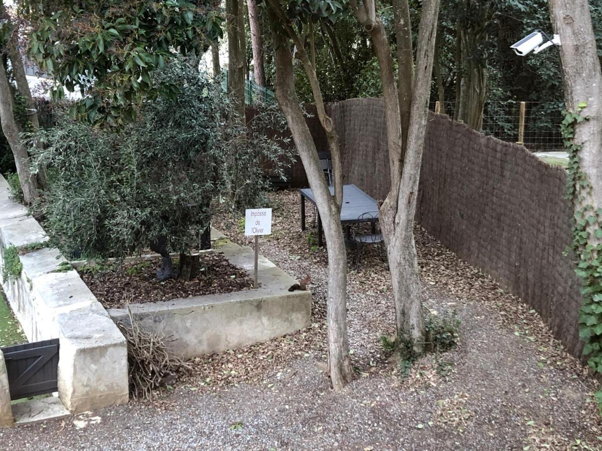 Au Vieux Lavoir Avec Parking Prive, Jardin , Climatisation, A 500 M De La Cite Carcassonne Eksteriør bilde