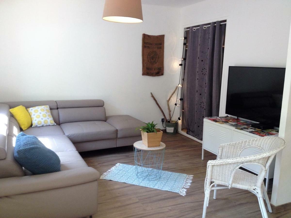 Au Vieux Lavoir Avec Parking Prive, Jardin , Climatisation, A 500 M De La Cite Carcassonne Eksteriør bilde