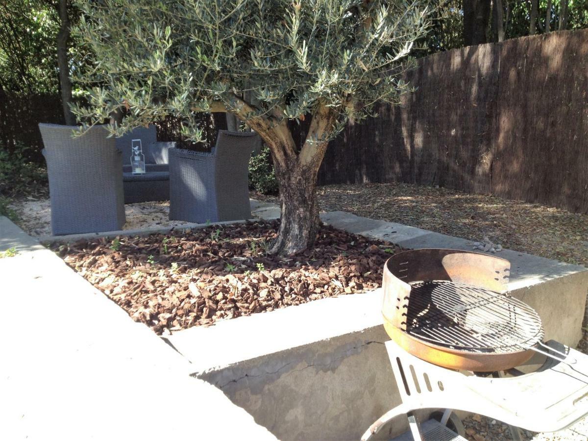 Au Vieux Lavoir Avec Parking Prive, Jardin , Climatisation, A 500 M De La Cite Carcassonne Eksteriør bilde