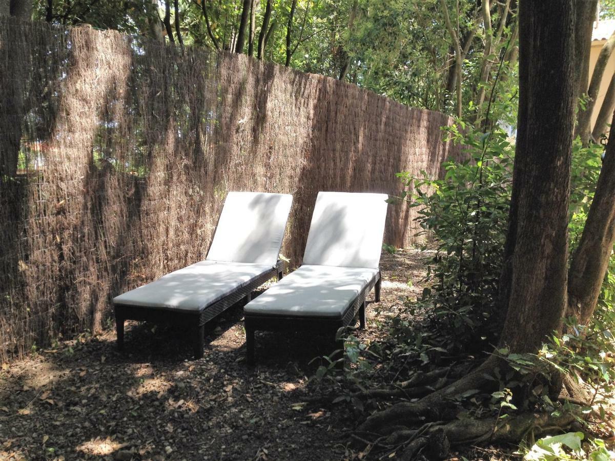 Au Vieux Lavoir Avec Parking Prive, Jardin , Climatisation, A 500 M De La Cite Carcassonne Eksteriør bilde
