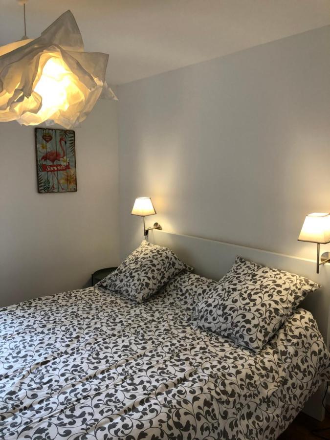 Au Vieux Lavoir Avec Parking Prive, Jardin , Climatisation, A 500 M De La Cite Carcassonne Eksteriør bilde
