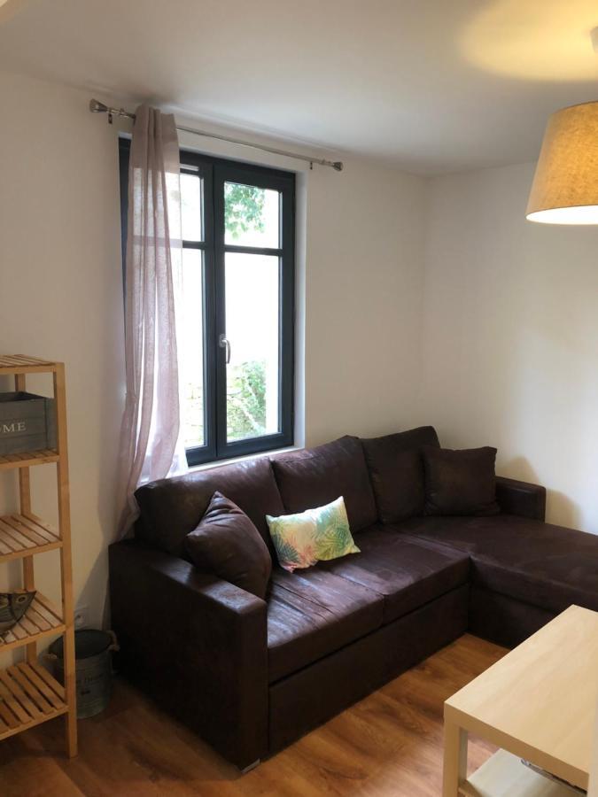 Au Vieux Lavoir Avec Parking Prive, Jardin , Climatisation, A 500 M De La Cite Carcassonne Eksteriør bilde